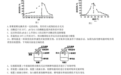 2024河南省部分名校高三核心模拟（一）生物试卷_2023年9月_01每日更新_19号_2024九师联盟（河南省名校）高三上学期核心模拟（一）