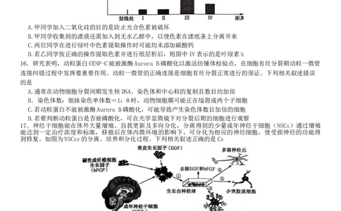 2024河南省部分名校高三核心模拟（一）生物试卷_2023年9月_01每日更新_19号_2024九师联盟（河南省名校）高三上学期核心模拟（一）