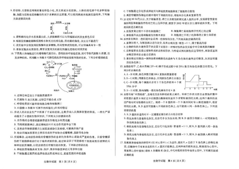 扫描件_生物试题(1)_2023年10月_0210月合集_2024届河南省天一大联考高三上学期阶段性测试（二）_河南省天一大联考2024届高三上学期阶段性测试（二）生物