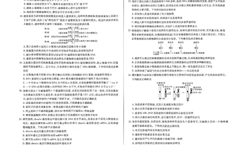 扫描件_生物试题(1)_2023年10月_0210月合集_2024届河南省天一大联考高三上学期阶段性测试（二）_河南省天一大联考2024届高三上学期阶段性测试（二）生物