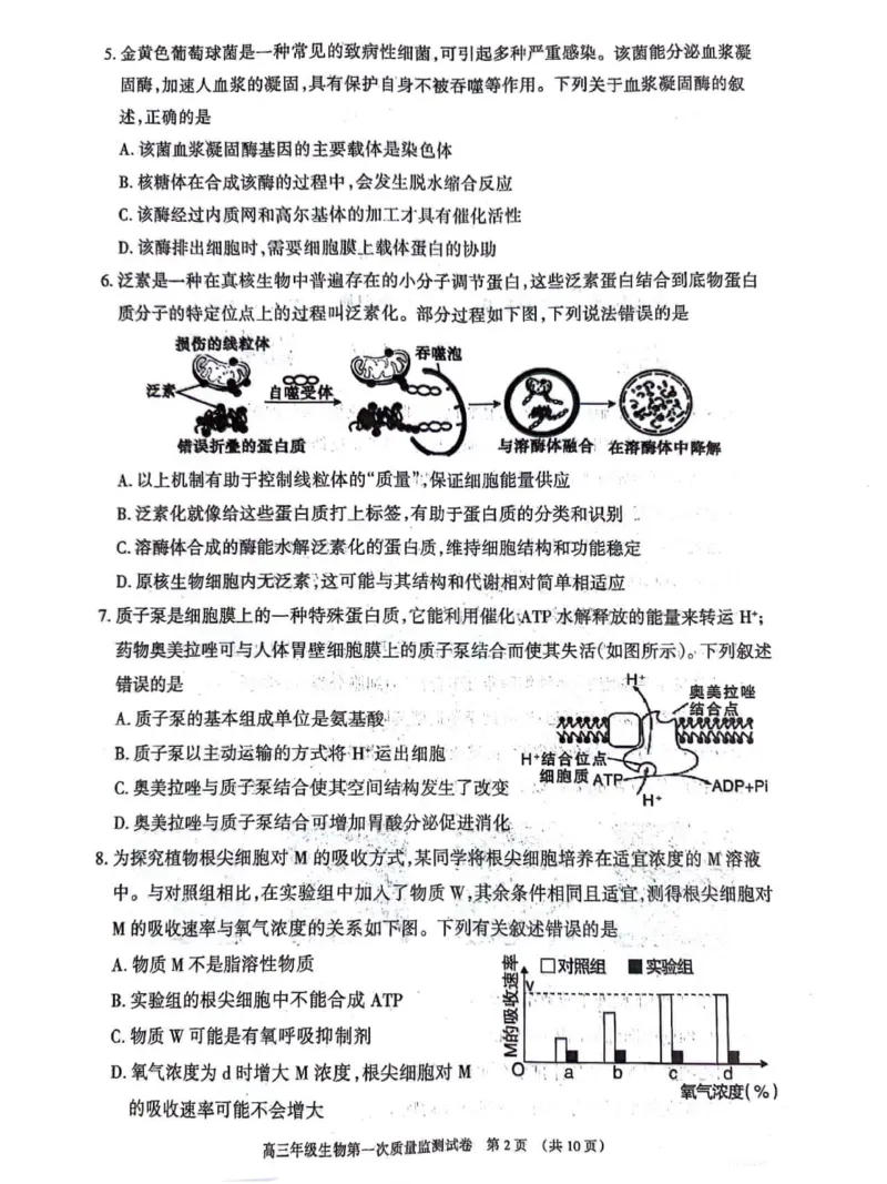 呼和浩特高三上(质检Ⅰ)-理综试题+答案(1)_2023年9月_029月合集_2024届内蒙古呼和浩特市高三第一次质量监测