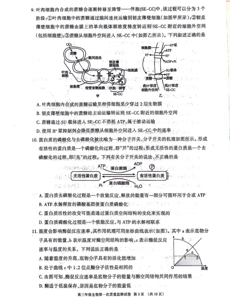 呼和浩特高三上(质检Ⅰ)-理综试题+答案(1)_2023年9月_029月合集_2024届内蒙古呼和浩特市高三第一次质量监测