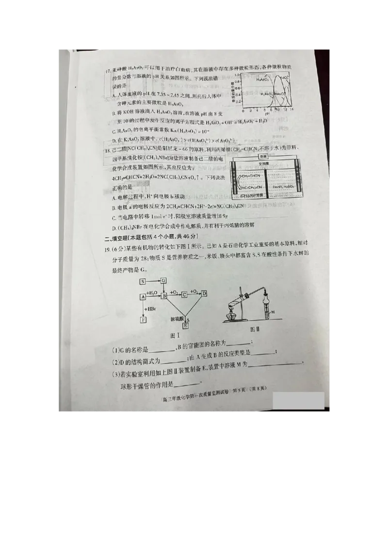 呼和浩特高三上(质检Ⅰ)-理综试题+答案(1)_2023年9月_029月合集_2024届内蒙古呼和浩特市高三第一次质量监测
