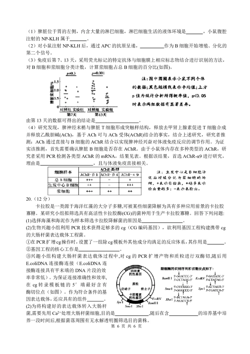 四川省绵阳中学2026届高三第二次模拟考试生物(1)_2026年1月_260125四川省绵阳中学2026届高三第二次模拟考试（全科）