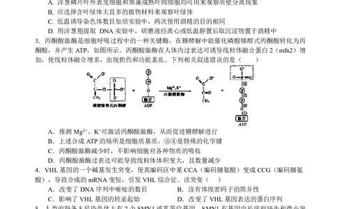 四川省绵阳中学2026届高三第二次模拟考试生物(1)_2026年1月_260125四川省绵阳中学2026届高三第二次模拟考试（全科）