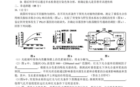 四川省绵阳中学2026届高三第二次模拟考试生物(1)_2026年1月_260125四川省绵阳中学2026届高三第二次模拟考试（全科）