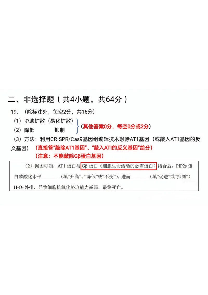 2024届武汉市高三九调生物答案_2023年9月_01每日更新_8号_2024届湖北省武汉市高三九月调研考试_2024届湖北省武汉市高三九月调研考试生物