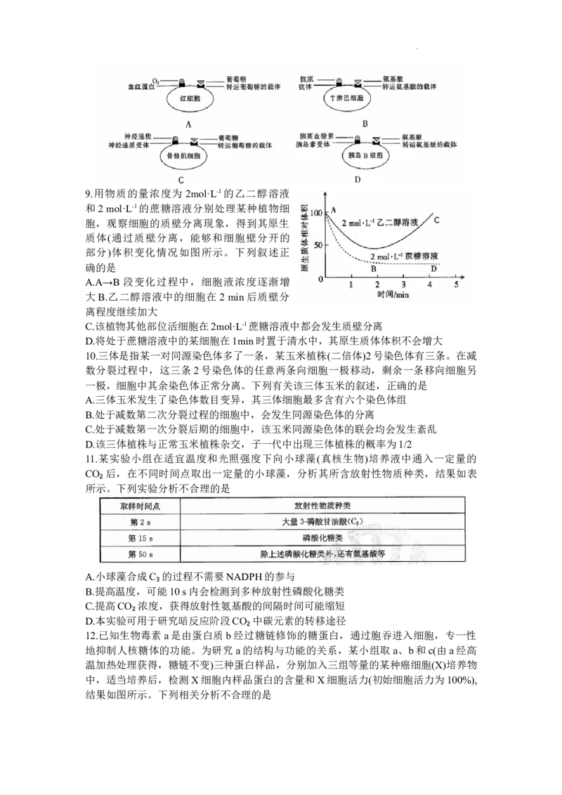 山东省部分学校2024届高三上学期十月联考生物试题(1)_2023年10月_0210月合集_2024届山东省金太阳高三上学期十月联考（金太阳24-12C）_2024届山东省部分学校高三上学期十月联考生物试题