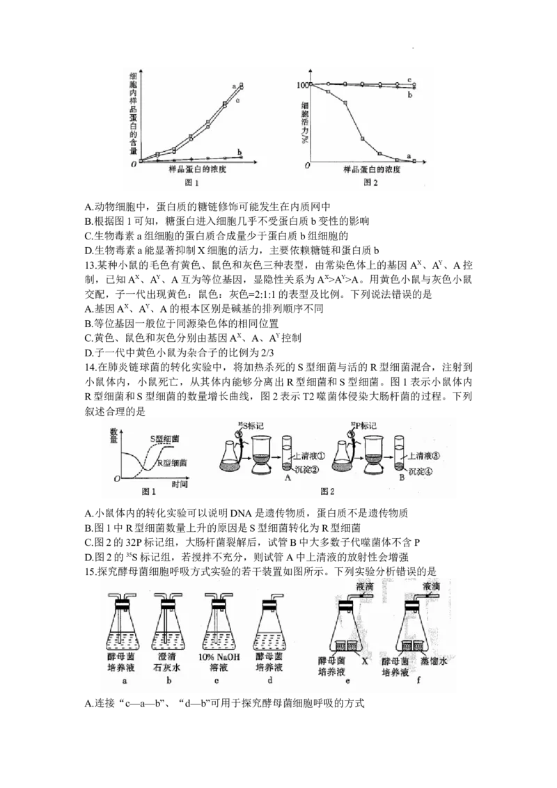 山东省部分学校2024届高三上学期十月联考生物试题(1)_2023年10月_0210月合集_2024届山东省金太阳高三上学期十月联考（金太阳24-12C）_2024届山东省部分学校高三上学期十月联考生物试题
