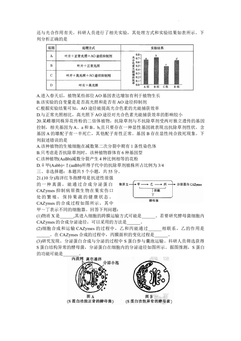 山东省部分学校2024届高三上学期十月联考生物试题(1)_2023年10月_0210月合集_2024届山东省金太阳高三上学期十月联考（金太阳24-12C）_2024届山东省部分学校高三上学期十月联考生物试题