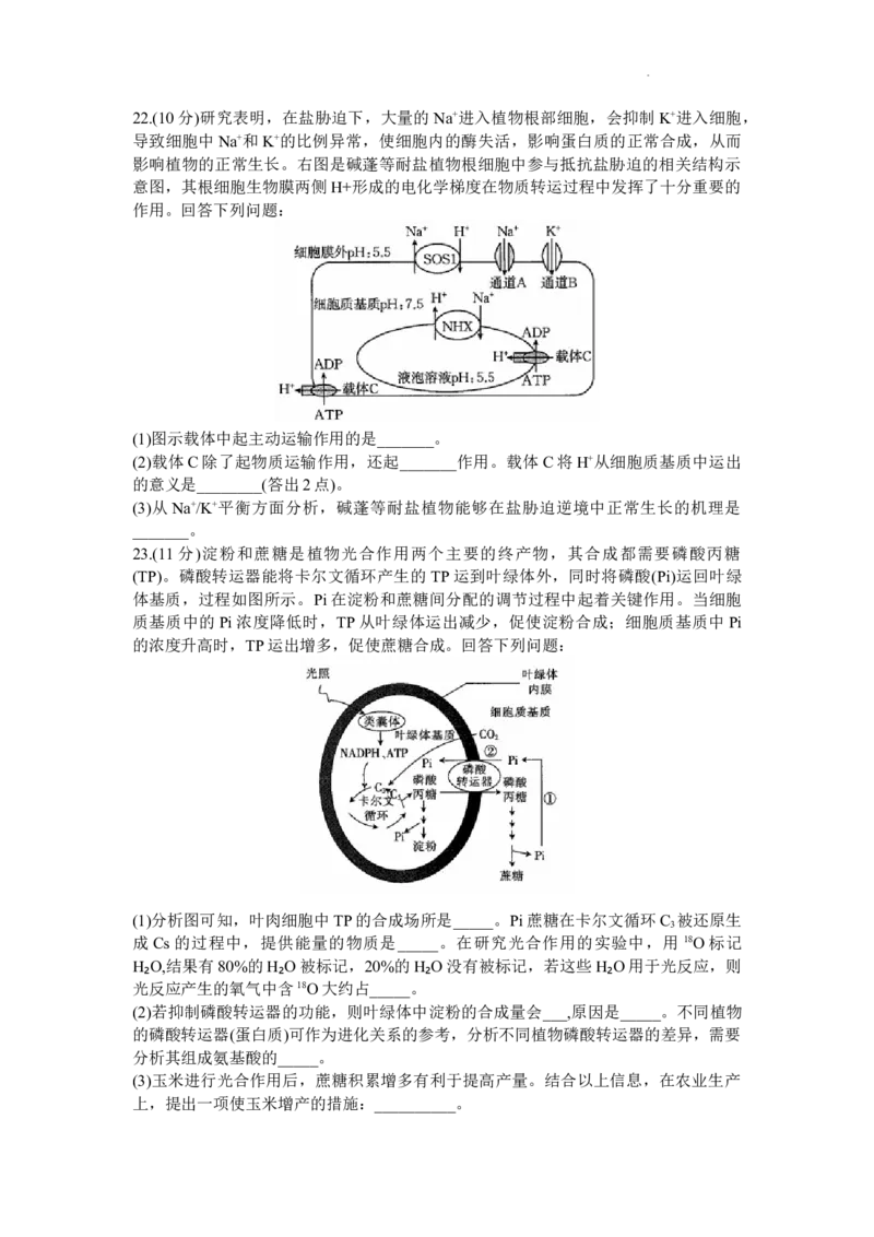 山东省部分学校2024届高三上学期十月联考生物试题(1)_2023年10月_0210月合集_2024届山东省金太阳高三上学期十月联考（金太阳24-12C）_2024届山东省部分学校高三上学期十月联考生物试题