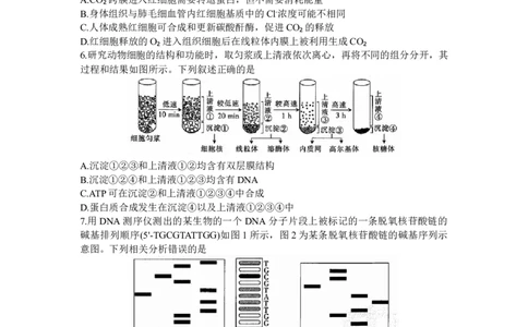 山东省部分学校2024届高三上学期十月联考生物试题(1)_2023年10月_0210月合集_2024届山东省金太阳高三上学期十月联考（金太阳24-12C）_2024届山东省部分学校高三上学期十月联考生物试题