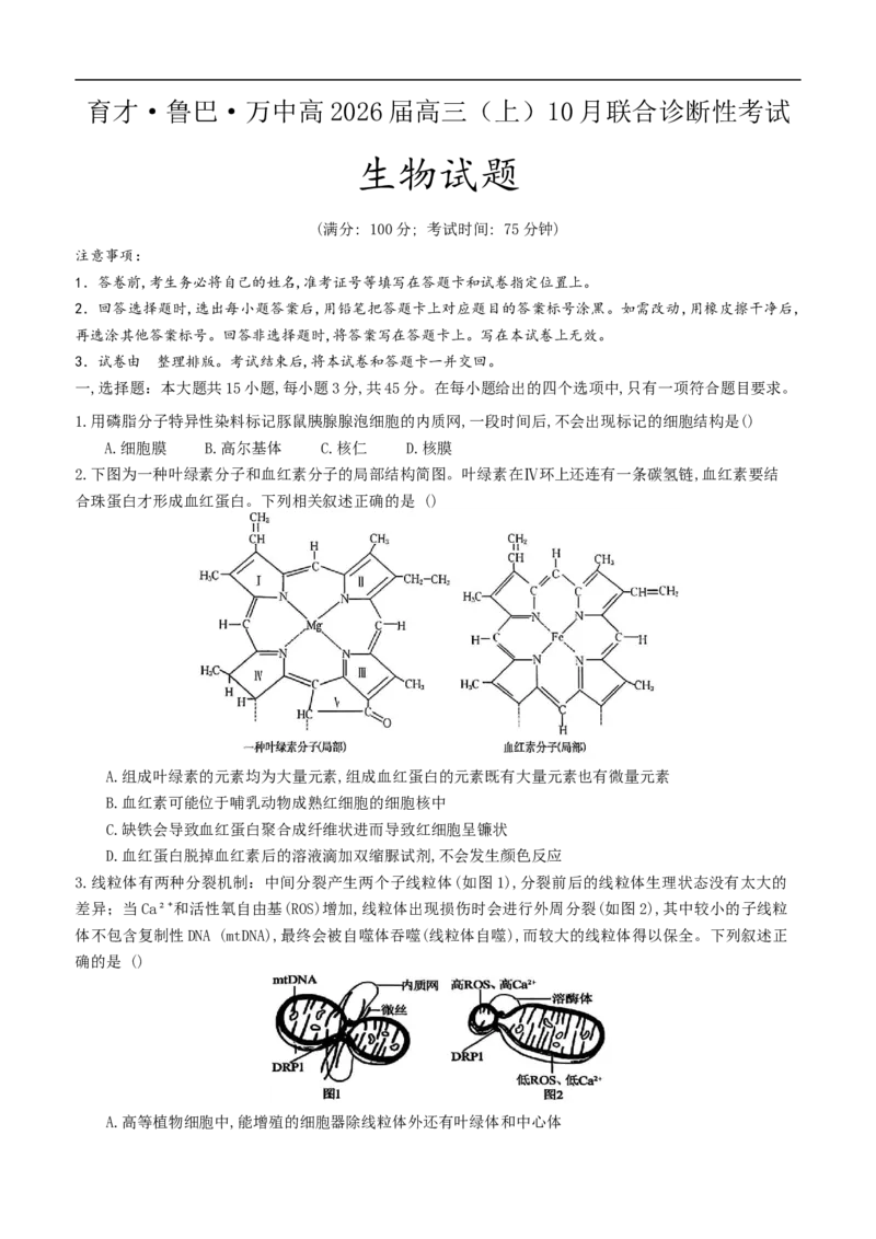 重庆育才中学、鲁能巴蜀中学、万州高级中学高2026届高三10月联合考试生物试题（含答案）_2025年10月