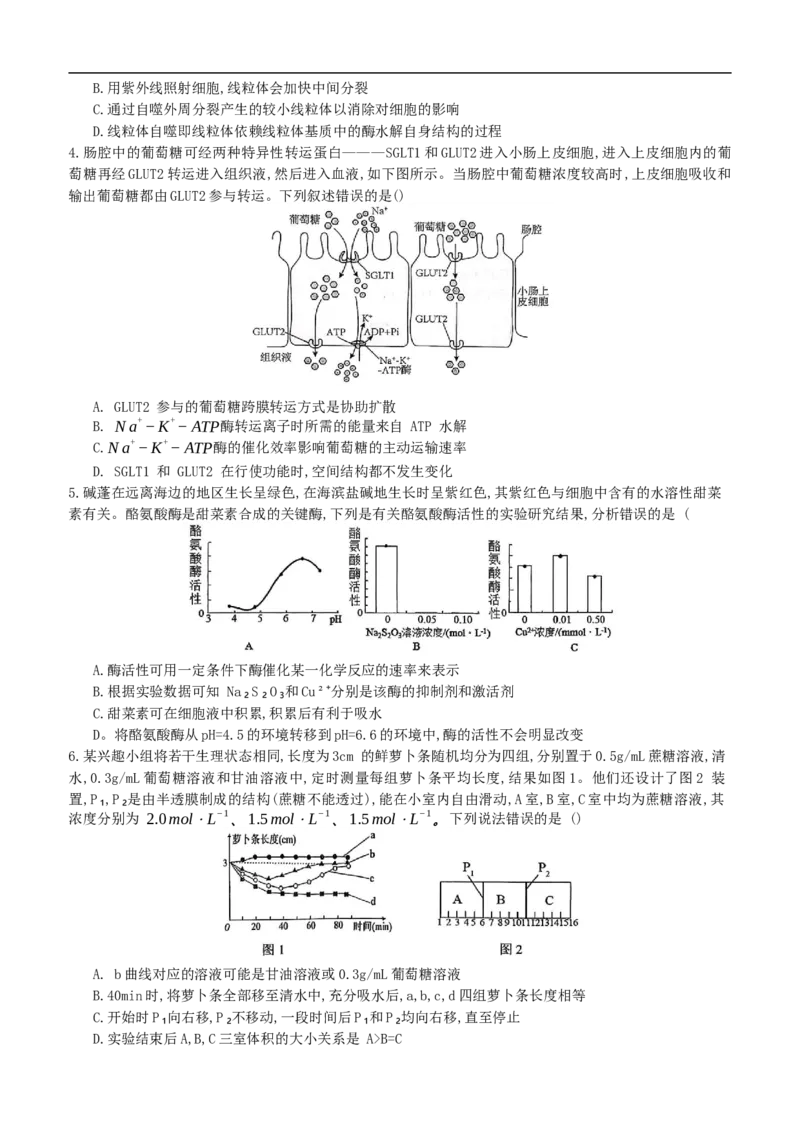 重庆育才中学、鲁能巴蜀中学、万州高级中学高2026届高三10月联合考试生物试题（含答案）_2025年10月