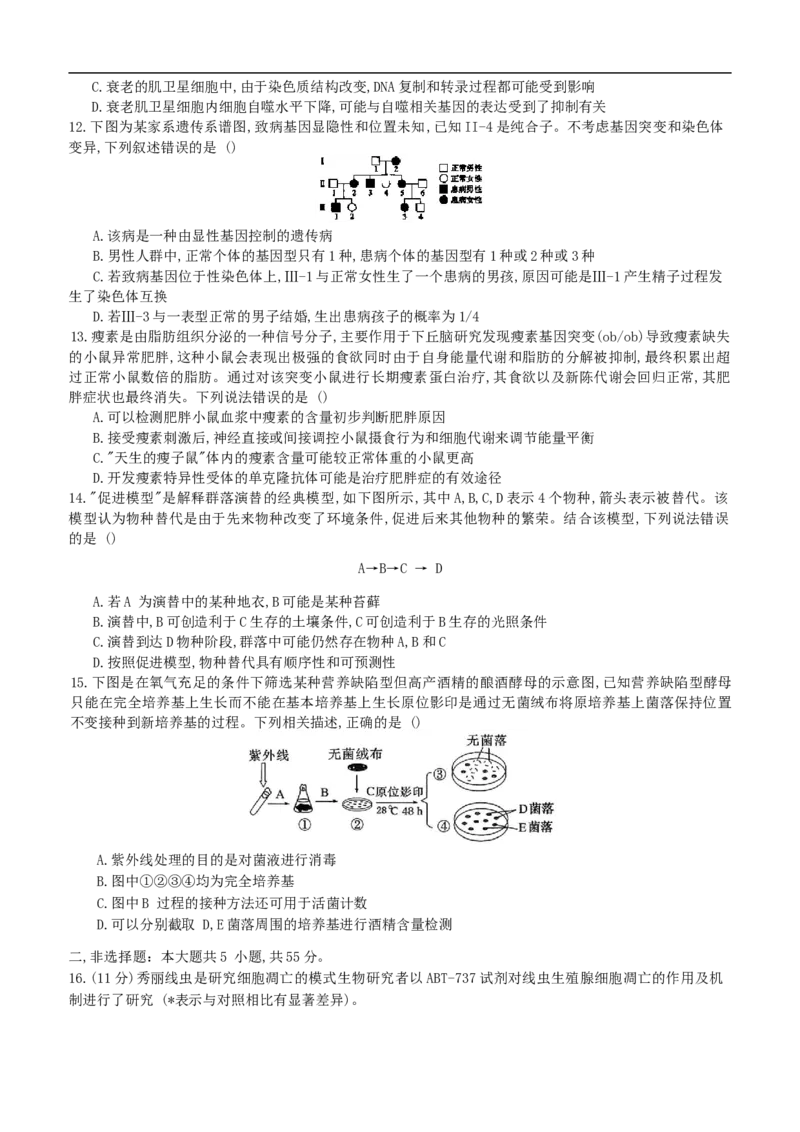 重庆育才中学、鲁能巴蜀中学、万州高级中学高2026届高三10月联合考试生物试题（含答案）_2025年10月