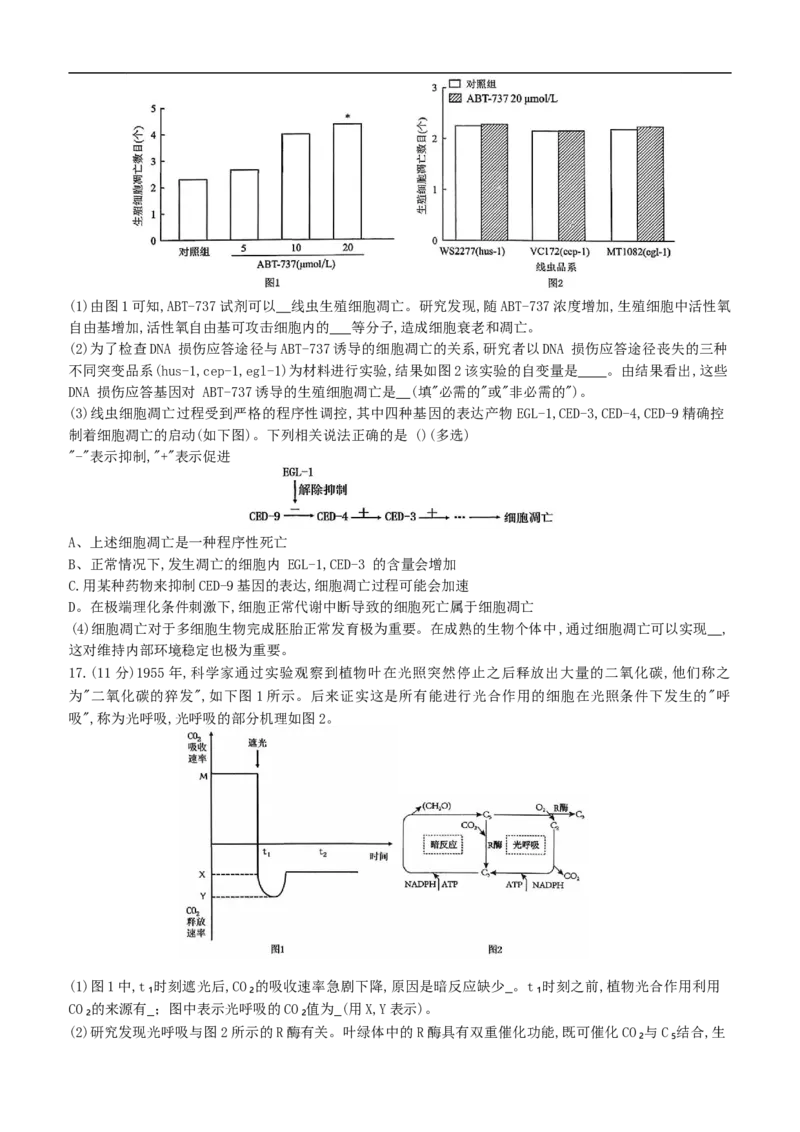 重庆育才中学、鲁能巴蜀中学、万州高级中学高2026届高三10月联合考试生物试题（含答案）_2025年10月