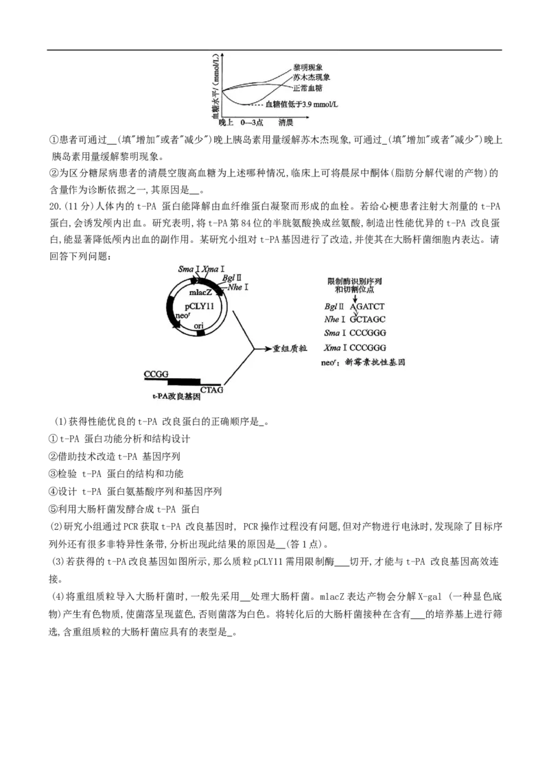 重庆育才中学、鲁能巴蜀中学、万州高级中学高2026届高三10月联合考试生物试题（含答案）_2025年10月