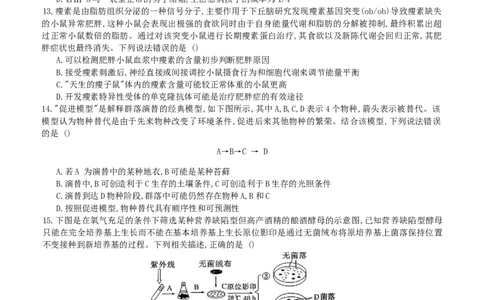 重庆育才中学、鲁能巴蜀中学、万州高级中学高2026届高三10月联合考试生物试题（含答案）_2025年10月