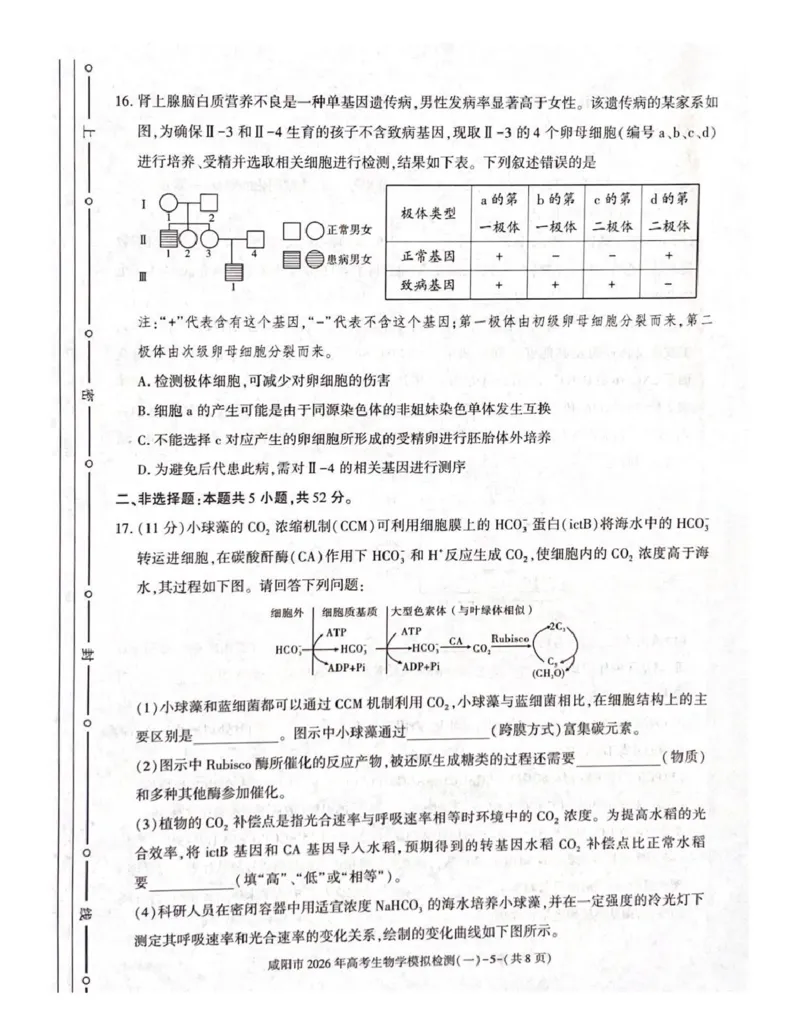 咸阳市2026年高考模拟检测（一）生物(1)_2026年1月_260111陕西省咸阳市2026年高考模拟检测（一）（全科）