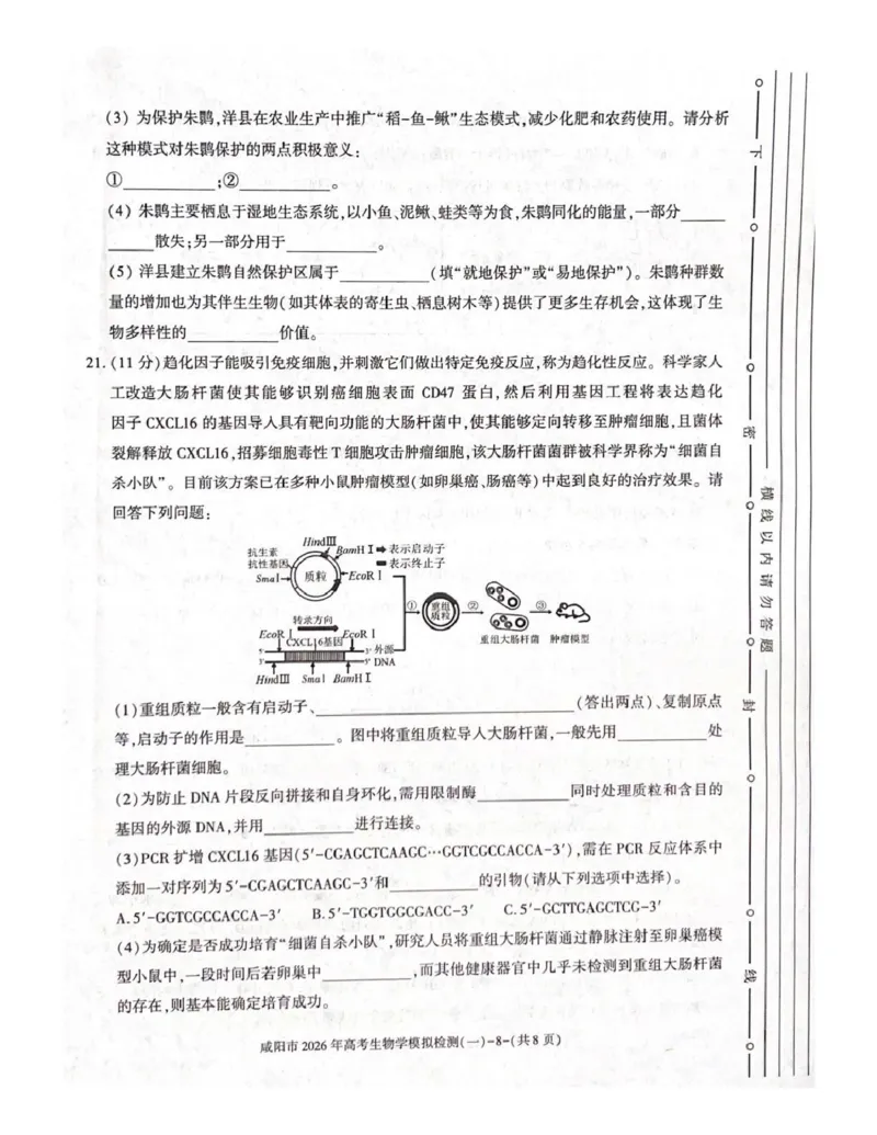 咸阳市2026年高考模拟检测（一）生物(1)_2026年1月_260111陕西省咸阳市2026年高考模拟检测（一）（全科）