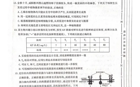 咸阳市2026年高考模拟检测（一）生物(1)_2026年1月_260111陕西省咸阳市2026年高考模拟检测（一）（全科）