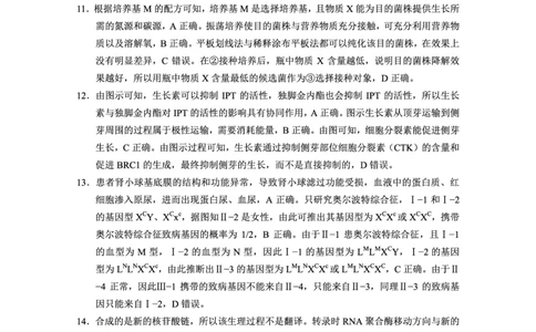重庆市第八中学2025届高三5月适应性月考卷（八）生物答案_2025年5月_250528重庆市第八中学2025届高三5月适应性月考卷（八）（全科）
