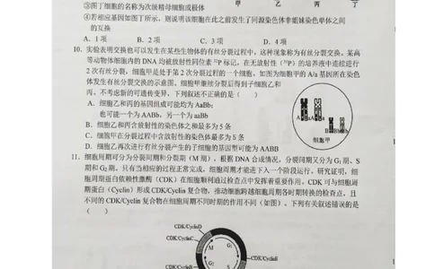 安徽省六安第一中学2023-2024学年高三上学期第二次月考生物(1)_2023年10月_0210月合集_2024届安徽省六安第一中学高三上学期第二次月考