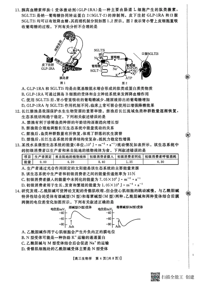 河南省2025-2026学年上高三第四次联考生物试卷(1)_2026年1月_260111河南省金太阳2025-2026学年上高三第四次联考（全科）_河南省金太阳2025-2026学年上高三第四次联考生物