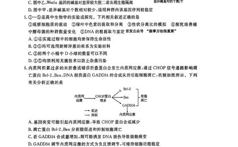 河南省2025-2026学年上高三第四次联考生物试卷(1)_2026年1月_260111河南省金太阳2025-2026学年上高三第四次联考（全科）_河南省金太阳2025-2026学年上高三第四次联考生物