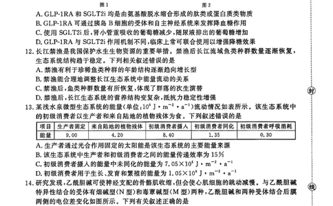 河南省2025-2026学年上高三第四次联考生物试卷(1)_2026年1月_260111河南省金太阳2025-2026学年上高三第四次联考（全科）_河南省金太阳2025-2026学年上高三第四次联考生物