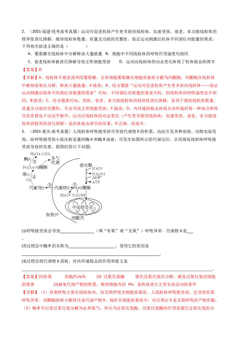 专题16内环境及其稳态（解析卷）_近10年高考真题汇编（必刷）_十年（2014-2024）高考生物真题分项汇编（全国通用）_十年（2014-2023）高考生物真题分项汇编（全国通用）
