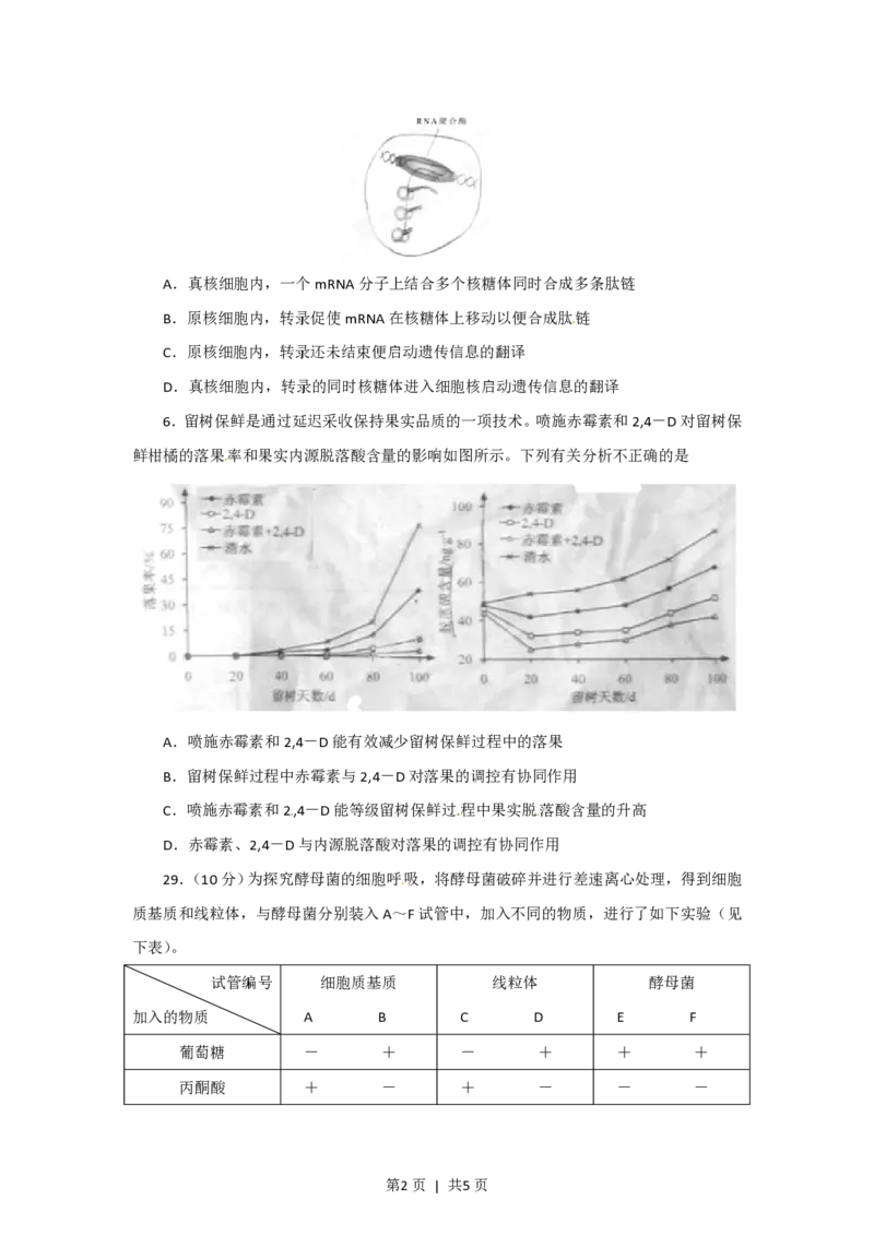 2012年高考生物试卷（安徽）（空白卷）_生物历年高考真题_新&middot;PDF版2008-2025&middot;高考生物真题_生物（按试卷类型分类）2008-2025_自主命题卷&middot;生物（2008-2025）