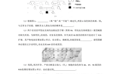 2012年高考生物试卷（安徽）（空白卷）_生物历年高考真题_新&middot;PDF版2008-2025&middot;高考生物真题_生物（按试卷类型分类）2008-2025_自主命题卷&middot;生物（2008-2025）