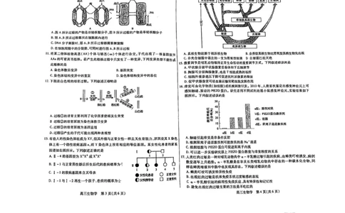 内蒙古包头市2023-2024学年高三上学期开学调研考试生物(1)_2023年8月_028月合集_2024届内蒙古包头市高三上学期开学调研考试（全科）