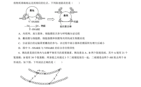 四川省仁寿第一中学校（北校区）2023-2024学年高三上学期9月月考理综(1)_2023年9月_029月合集_2024届四川省仁寿第一中学校（北校区）高三上学期9月月考