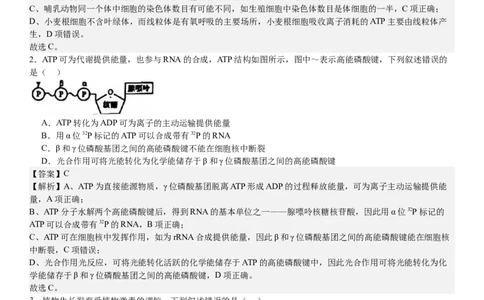 全国甲卷生物-答案-p_近10年高考真题汇编（必刷）_2024年高考真题_高考真题（截止6.29）_全国甲卷（8科）