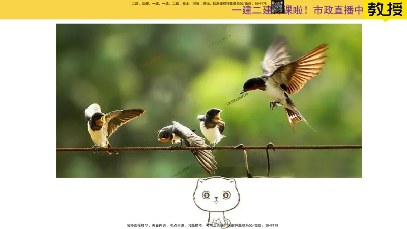 Removed_2025一建市政精讲32-拱桥斜拉桥_2026年一级建造师_2026年一建市政_2025年一建市政SVIP_02-基础精讲✿高端面授✿深度强化_30-市政《超级精讲班》文昊XJ_讲义