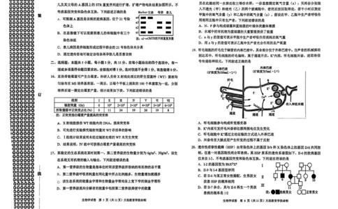2026年大连市高三双基模拟考试-高中生物(1)_2026年1月_260115辽宁省大连市2025-2026学年高三上学期双基模拟考试（全科）