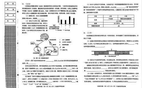 2026年大连市高三双基模拟考试-高中生物(1)_2026年1月_260115辽宁省大连市2025-2026学年高三上学期双基模拟考试（全科）