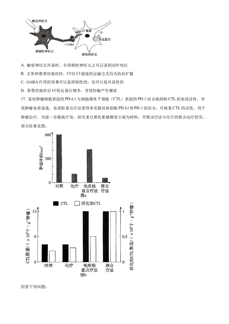 2024年新课标广东卷高考生物真题试卷（原卷版）_高考真题全网收集_生物学_2024年新高考广东卷生物高考真题解析（参考版）