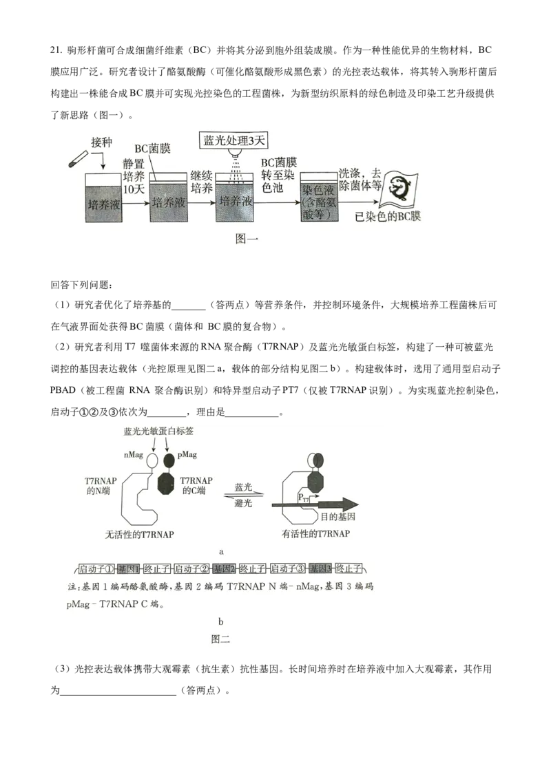 2024年新课标广东卷高考生物真题试卷（原卷版）_高考真题全网收集_生物学_2024年新高考广东卷生物高考真题解析（参考版）