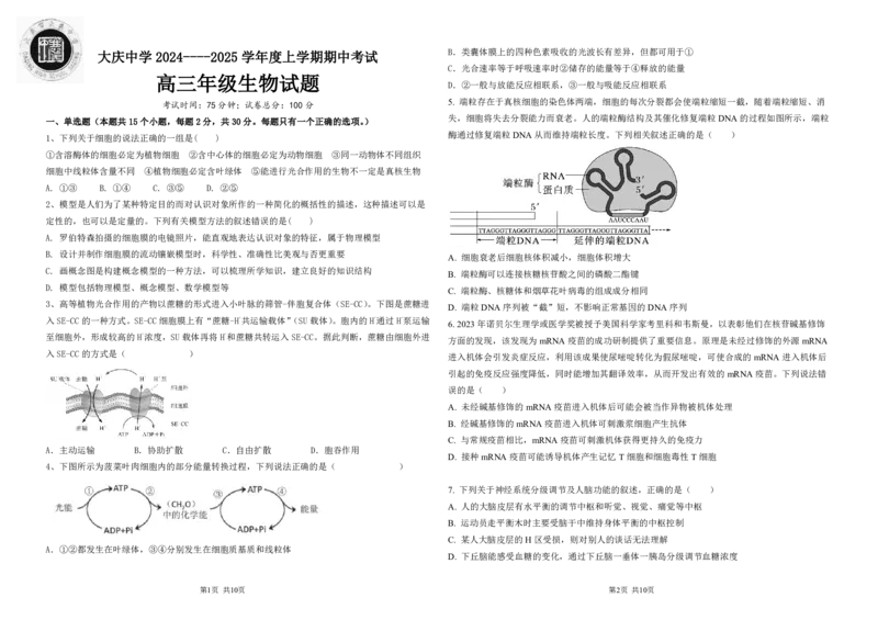黑龙江省大庆市大庆中学2024-2025学年高三上学期10月期中考试生物PDF版含答案（可编辑）_11月_241101黑龙江省大庆市大庆中学2024-2025学年高三上学期10月期中考试