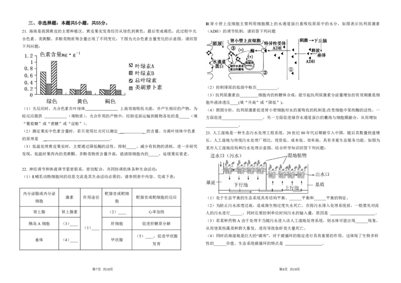 黑龙江省大庆市大庆中学2024-2025学年高三上学期10月期中考试生物PDF版含答案（可编辑）_11月_241101黑龙江省大庆市大庆中学2024-2025学年高三上学期10月期中考试