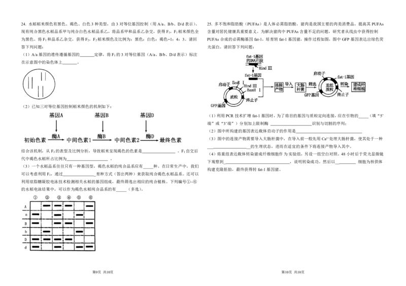 黑龙江省大庆市大庆中学2024-2025学年高三上学期10月期中考试生物PDF版含答案（可编辑）_11月_241101黑龙江省大庆市大庆中学2024-2025学年高三上学期10月期中考试