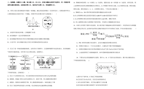 黑龙江省大庆市大庆中学2024-2025学年高三上学期10月期中考试生物PDF版含答案（可编辑）_11月_241101黑龙江省大庆市大庆中学2024-2025学年高三上学期10月期中考试