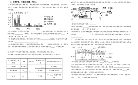 黑龙江省大庆市大庆中学2024-2025学年高三上学期10月期中考试生物PDF版含答案（可编辑）_11月_241101黑龙江省大庆市大庆中学2024-2025学年高三上学期10月期中考试
