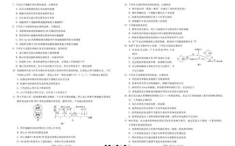 2024届云南三校高考备考实用性联考卷（一）生物(1)_2023年7月_027月合集_高三试卷2024届云南省高三高考备考实用性联考卷（一）