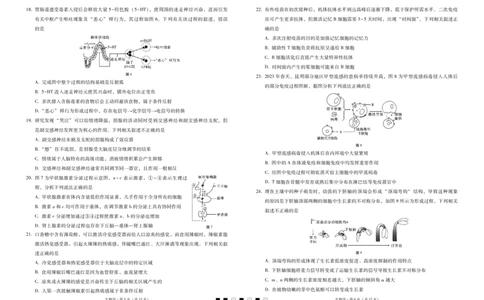 2024届云南三校高考备考实用性联考卷（一）生物(1)_2023年7月_027月合集_高三试卷2024届云南省高三高考备考实用性联考卷（一）