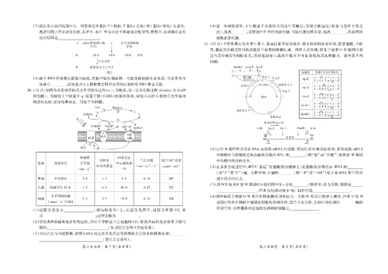 江西省部分高中2025-2026学年高三上学期1月联考生物试题(1)_2026年1月_260118上进联考&middot;江西省2026届高三上学期1月联考（全科）_江西部分高中2026届高三上学期1月测试生物试题含答案