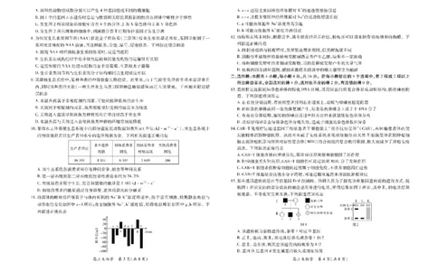 江西省部分高中2025-2026学年高三上学期1月联考生物试题(1)_2026年1月_260118上进联考&middot;江西省2026届高三上学期1月联考（全科）_江西部分高中2026届高三上学期1月测试生物试题含答案